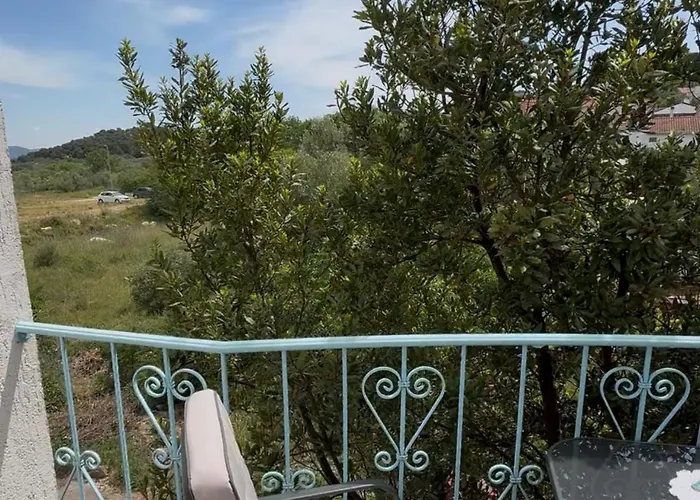 My Sunshine Star Murter