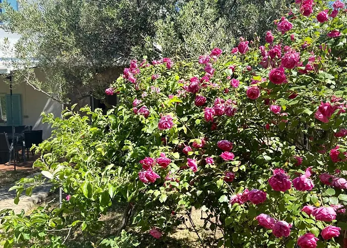 Villa My Sunshine Star