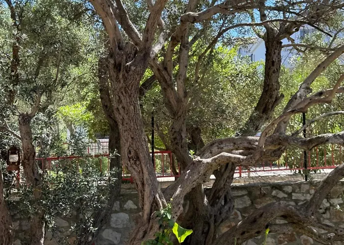 My Sunshine Star Villa *