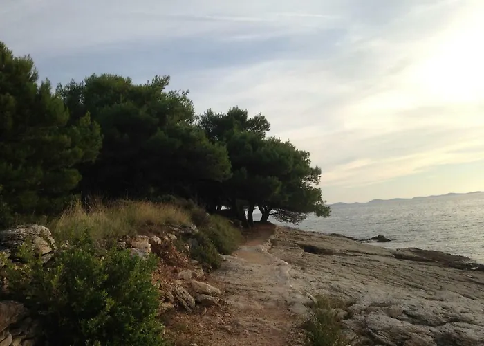 My Sunshine Star Murter