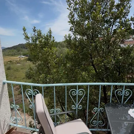 My Sunshine Star 穆泰尔岛