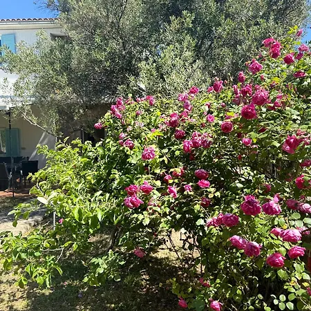 别墅 My Sunshine Star