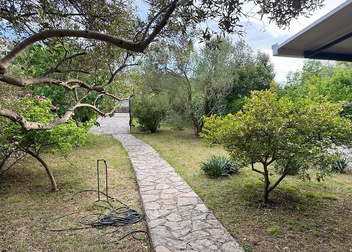 Vila My Sunshine Star